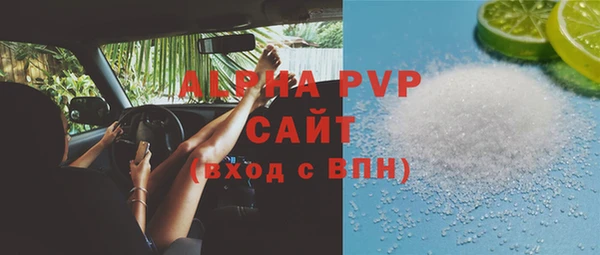 хмурый Алексин