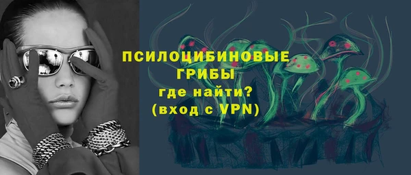 хмурый Алексин