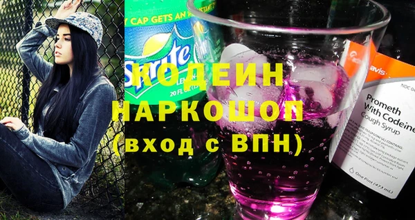 хмурый Алексин
