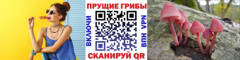 гидра зеркало  Кондопога  Псилоцибиновые грибы Magic Shrooms 